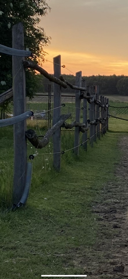 Termékértékelés - Gyűrűs szigetelő, facsavaros, 25 db - agroelectro.hu